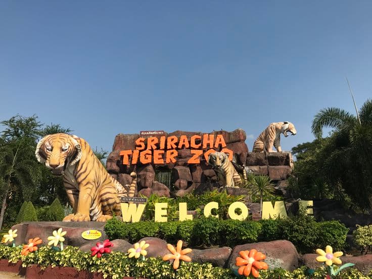 THAILAND 4N/5D WITH FLIGHT (Pattaya 3N, Bangkok 1N) photo 2